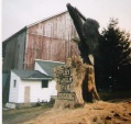 Eagle with Name